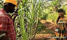 Egy nő és szomszédja fülledt találkozása vidéken nyilvános szabadtéri hármashoz vezet egy afrikai utcában